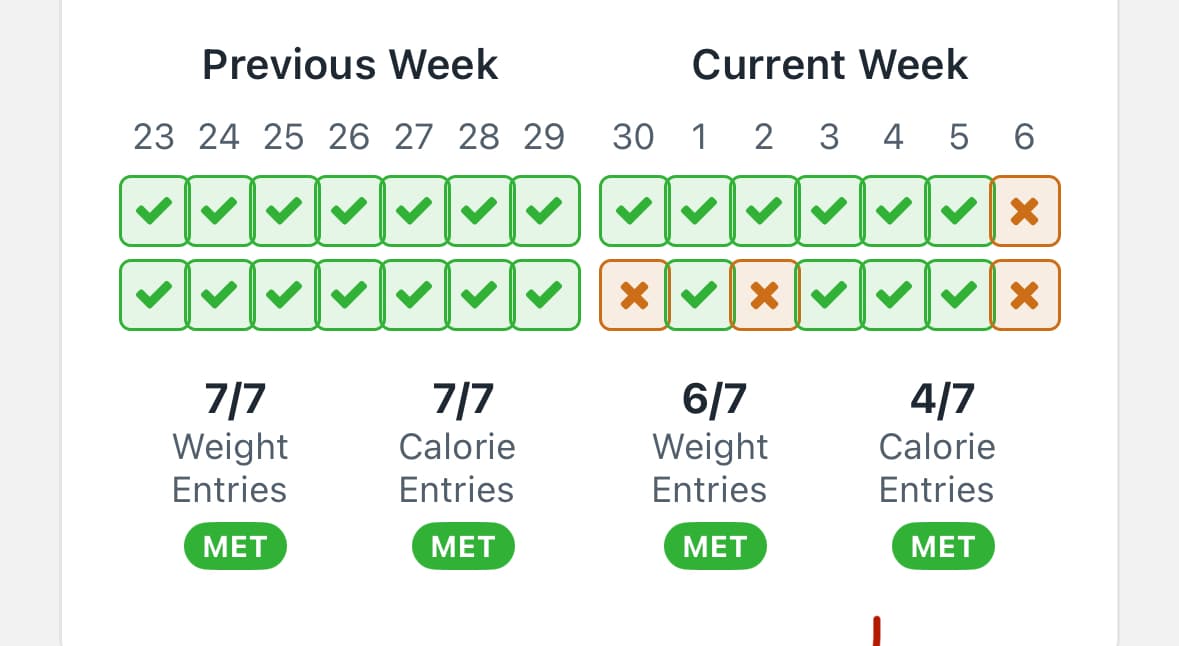 Why is my TDEE not updating in Zolt?